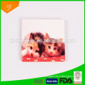 porcelain coaster with cheap price, coaster printed cat, ceramic drinking coaster